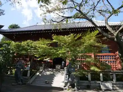 養玉院如来寺の本殿・本堂