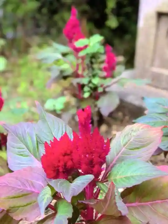 聖徳寺(東京都)