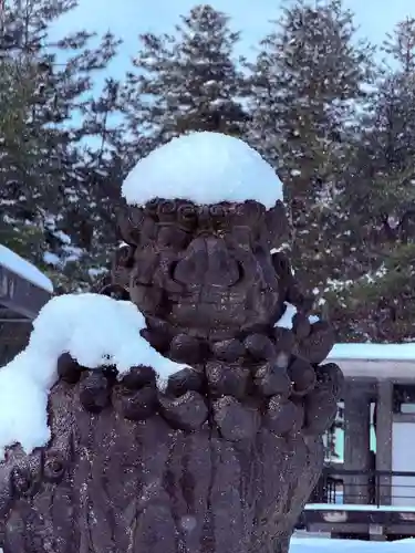 福井神社(福井県)