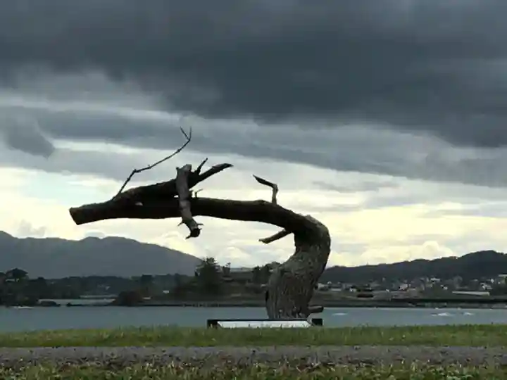 琴平神社の自然