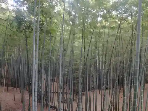 石清水八幡宮(京都府)