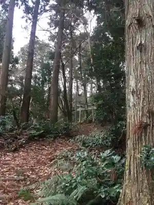 白山神社の鳥居