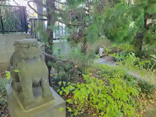 越谷香取神社の狛犬