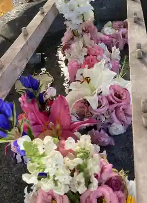 彌彦神社　(伊夜日子神社)の手水舎