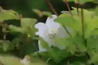 大鏑神社の庭園