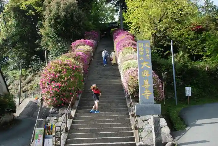 大興善寺(佐賀県)