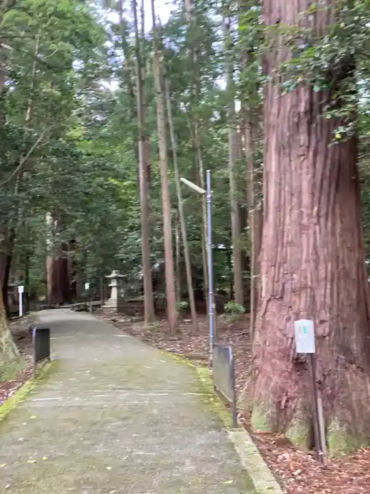 若狭彦神社(上社)のその他建物