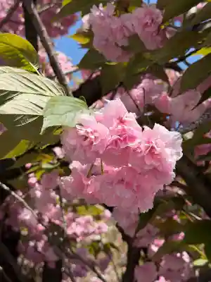 大楽寺の{uncategorized: "未分類", other: "その他", undefined: "問題あり", building: "その他建物", grave: "お墓", sacred_gate: "鳥居", guardian: "狛犬", statue: "像", buddha: "仏像", history: "歴史", nature: "自然", garden: "庭園", animal: "動物", pagoda: "塔", temizu: "手水舎", mountain_gate: "山門・神門", sanctuary: "本殿・本堂", subordinate: "末社・摂社", art: "芸術", scenery: "景色", jizo: "地蔵", ema: "絵馬", goshuin: "御朱印", omikuji: "おみくじ", items: "授与品その他", amulet: "お守り", goshuincho: "御朱印帳", eats: "食事", festival: "お祭り", votive_dance: "神楽", shichigosan: "七五三参", wedding: "結婚式", experience: "体験その他", initially: "初詣", around: "周辺", anti_infection: "感染症対策"}
