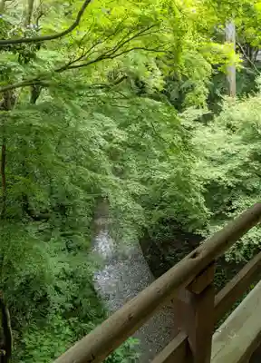 東福禅寺(東福寺)(京都府)