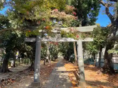 八雲氷川神社の鳥居