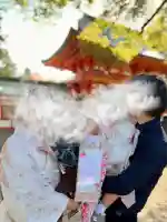 武蔵一宮氷川神社(埼玉県)