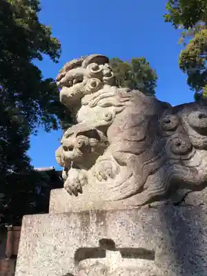 八雲氷川神社の狛犬