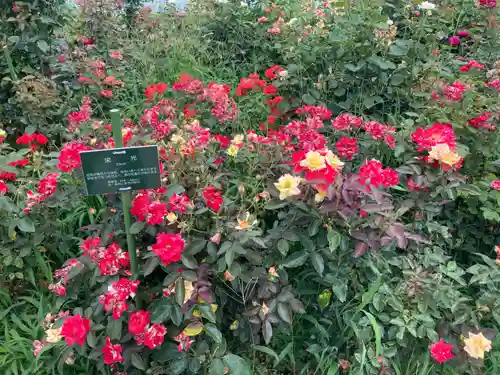 和合神社(福井県)