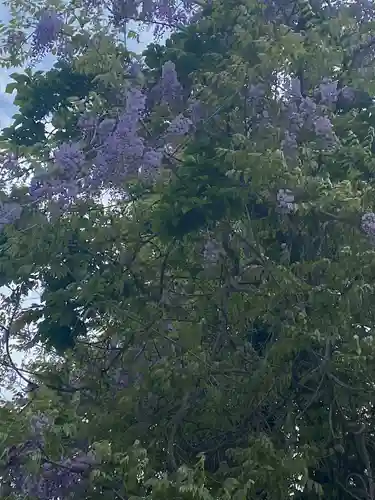 寺下観音の自然