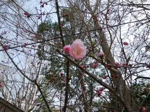 錦山天満宮の自然