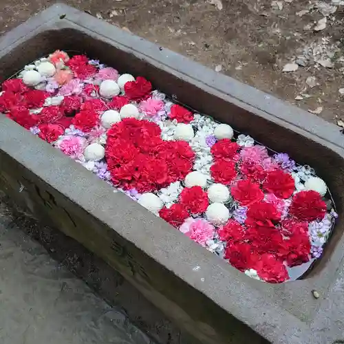 前玉神社の手水舎