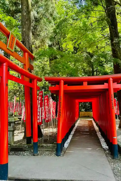 多賀大社(滋賀県)