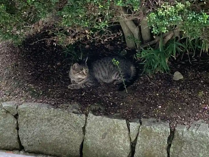 吉備津神社(岡山県)
