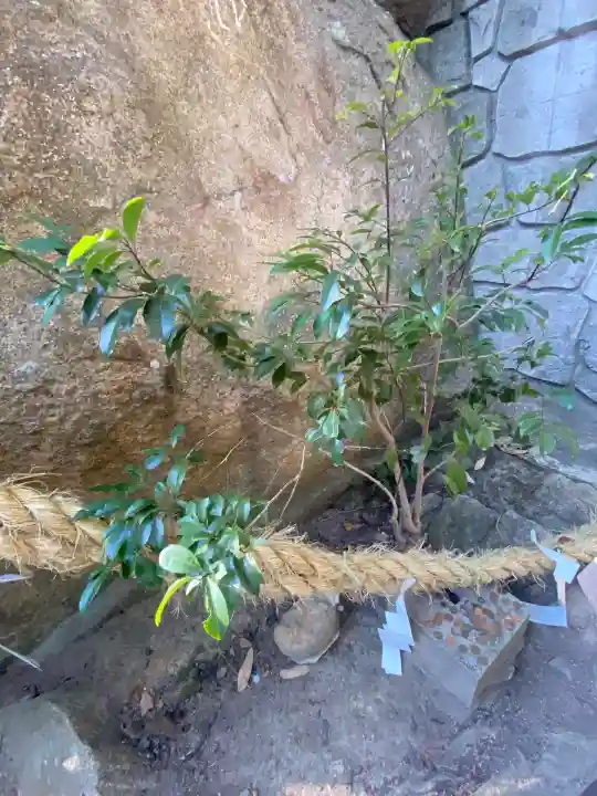 越木岩神社(兵庫県)