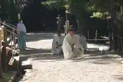 春日大社のお祭り