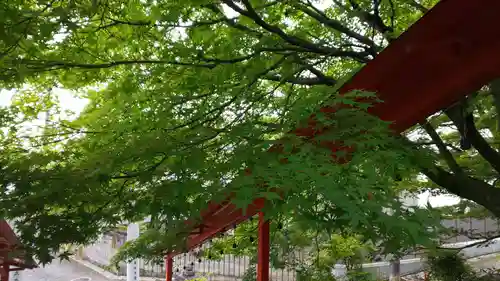 新宮神社のその他建物