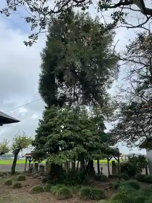 川西薬師堂(栃木県)