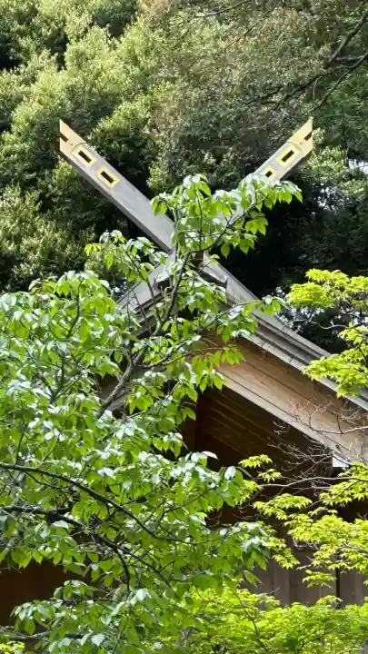 高鴨神社(奈良県)