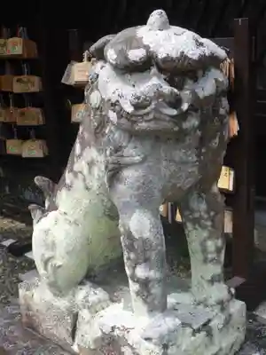 梅宮大社の狛犬