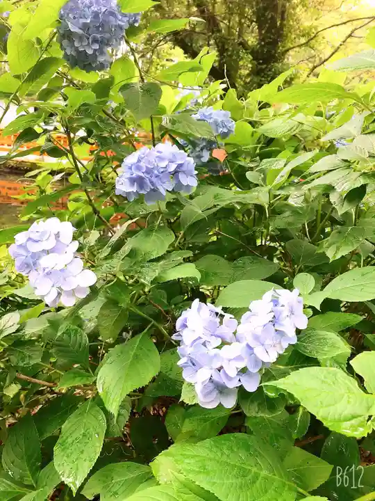狭野神社の自然