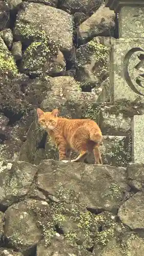 大威徳寺(大阪府)