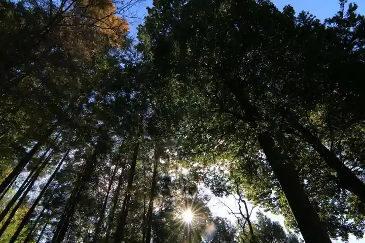 和田神社の景色