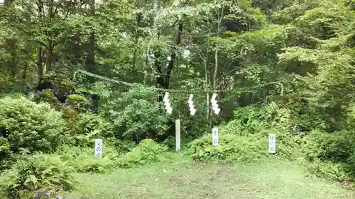 胎内神社の自然