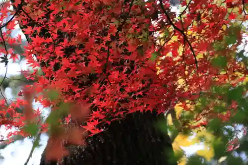 三春大神宮の庭園