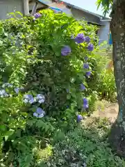 愛宕神社の庭園