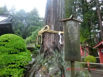 北口本宮冨士浅間神社(山梨県)