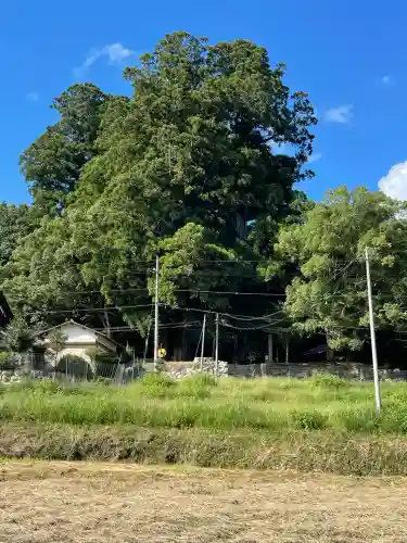 劔主神社(奈良県)