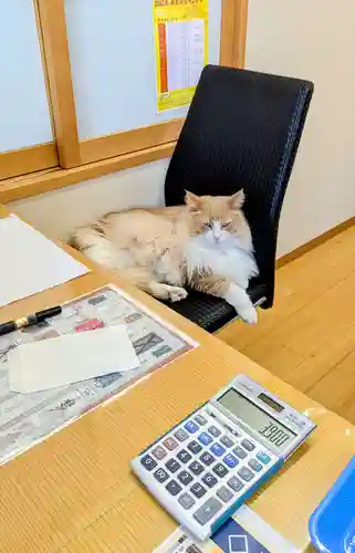 駒込妙義神社の動物
