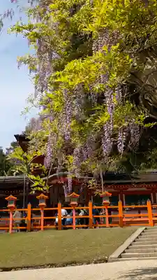 春日大社(奈良県)