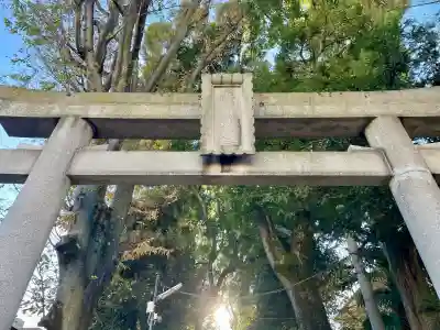 桐ヶ谷氷川神社(東京都)