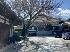 感通寺(東京都)