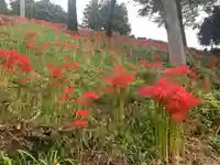曹洞宗 永松山 龍泉寺の自然
