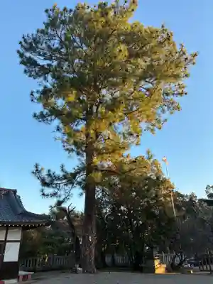 忌部神社(徳島県)