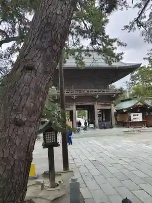白山神社(新潟県)
