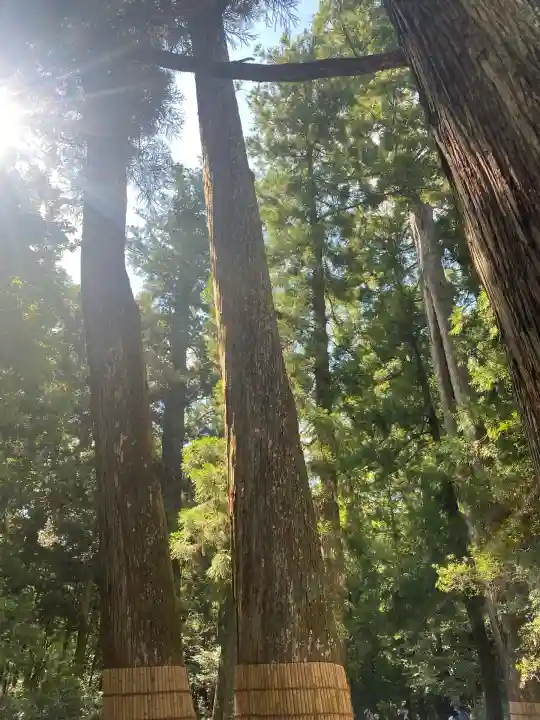伊勢神宮内宮(皇大神宮)(三重県)