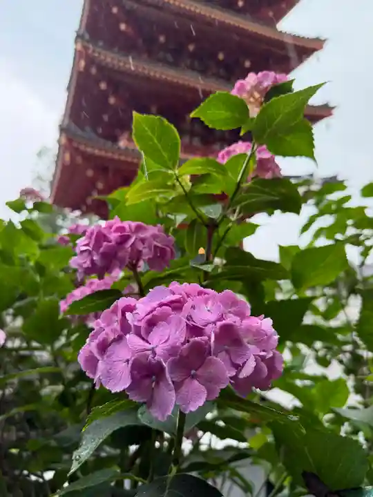 高幡不動尊 金剛寺(東京都)
