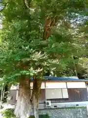 諏訪神社(静岡県)