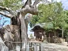 阿邪訶根神社(福島県)