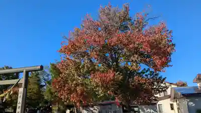 山部神社の自然