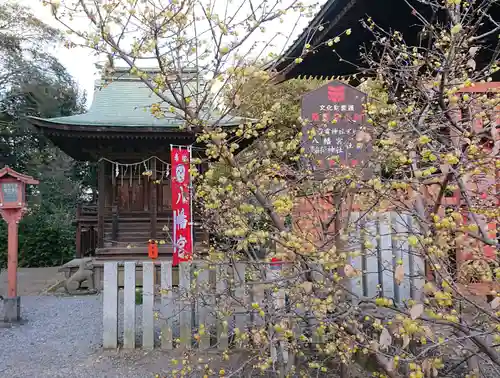 板倉雷電神社(群馬県)