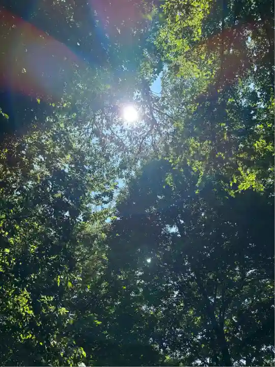 サムハラ神社 奥の宮(岡山県)